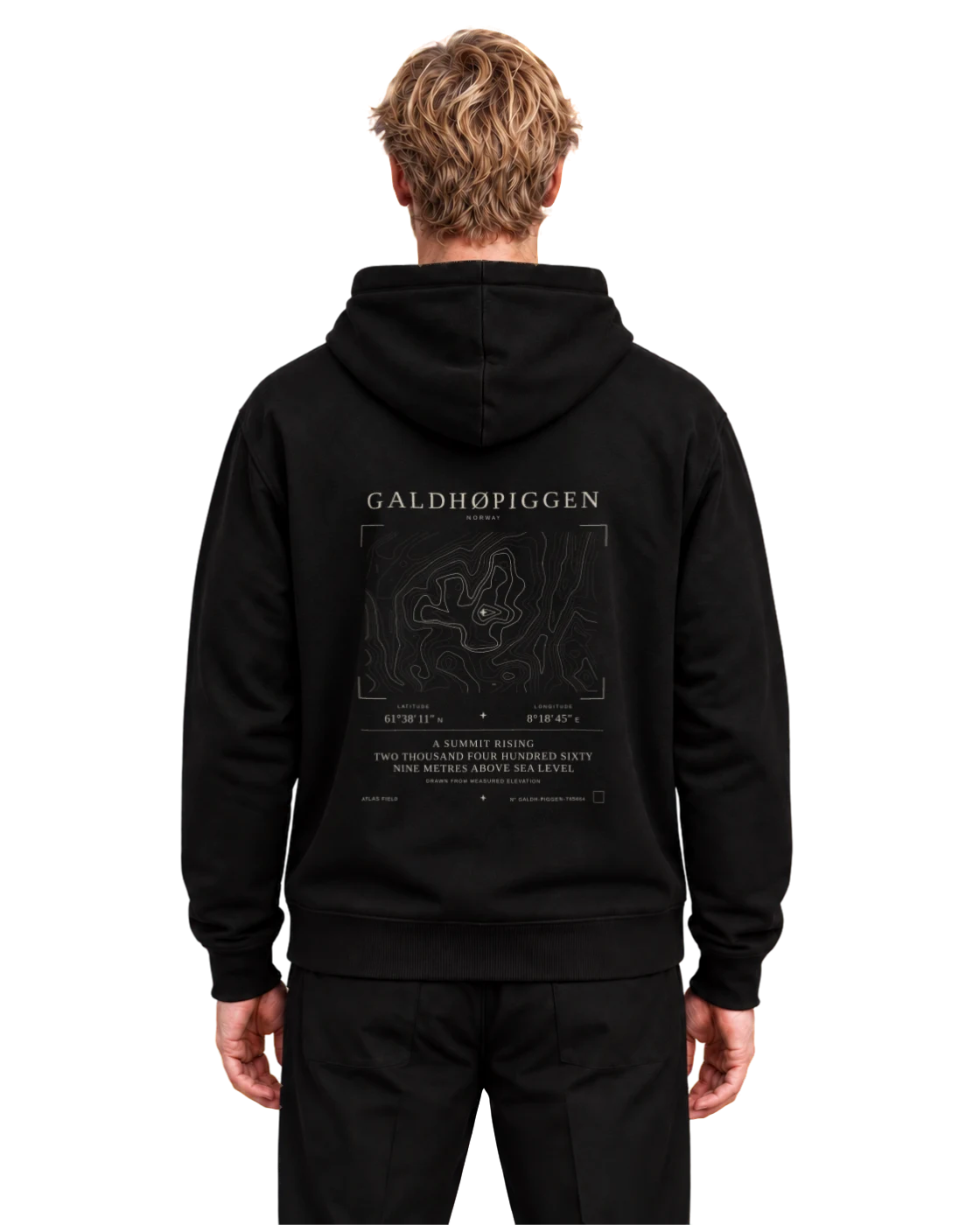 Galdhøpiggen hoodie, black, back view